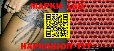 jwh Новодвинск