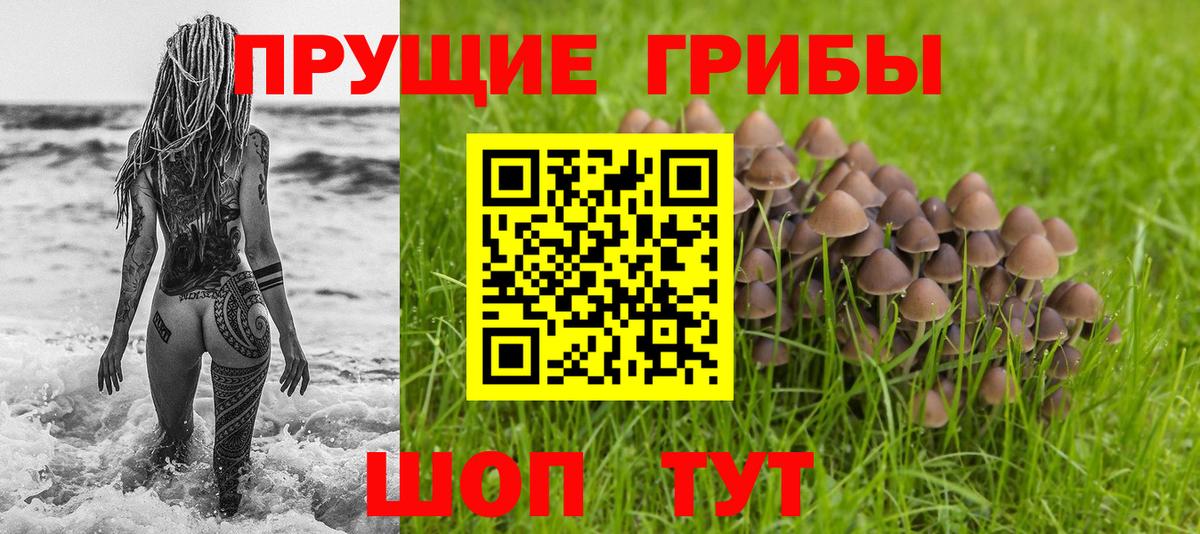 Галлюциногенные грибы мицелий Назрань
