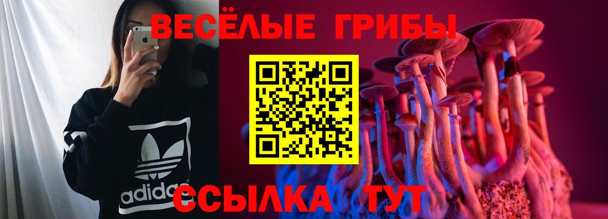 Назрань  закладка  Вход с VPN  Галлюциногенные грибы GOLDEN TEACHER 